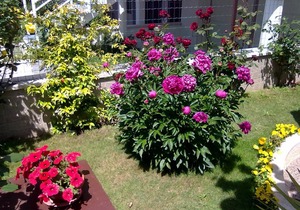 40 m² Apartment ∙ 1 bedroom ∙ 3 guests