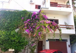 40 m² Apartment ∙ 1 bedroom ∙ 3 guests