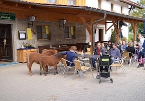 40qm großes App. im 1. Stock in ruhiger Lage