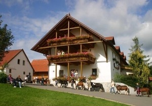 40qm großes App. im 1. Stock in ruhiger Lage