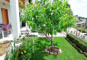 42 m² Apartment ∙ 2 bedrooms ∙ 4 guests