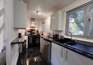 44 Trevithick view