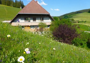 45 m² Apartment ∙ 1 bedroom ∙ 3 guests