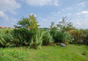 45 m² Apartment ∙ 1 bedroom ∙ 4 guests