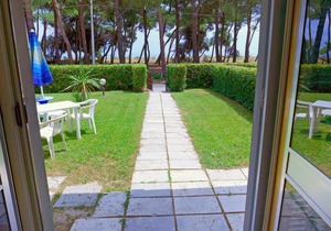 45 m² Apartment ∙ 1 bedroom ∙ 4 guests