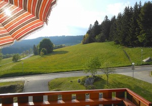45 m² Apartment ∙ 1 bedroom ∙ 4 guests