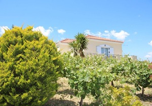 45 m² House ∙ 1 bedroom ∙ 3 guests