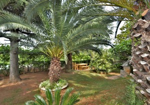 46 m² Apartment ∙ 1 bedroom ∙ 4 guests