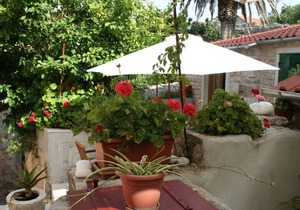 46 m² Studio flat ∙ 1 bedroom ∙ 4 guests