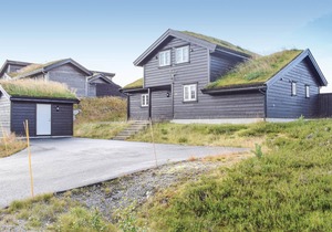 5 bedroom stunning home in åseral