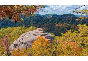 ~5~ Cost Effective Motel by the Red River Gorge