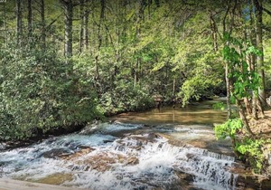 #5 - Large Suite - Waterfall Access - Near Tallulah Gorge