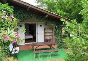 50 m² Apartment ∙ 1 bedroom ∙ 4 guests