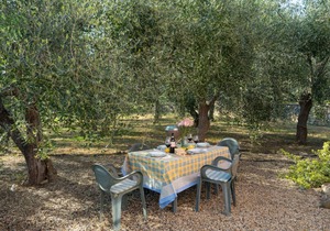 50 m² Apartment ∙ 1 bedroom ∙ 4 guests