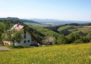 50 m² Apartment ∙ 1 bedroom ∙ 2 guests