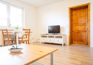 50 m² Apartment ∙ 1 bedroom ∙ 3 guests