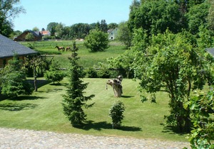 50 m² Apartment ∙ 1 bedroom ∙ 2 guests