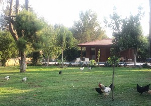 50 m² House ∙ 3 guests