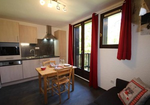 50m from resort center, 4th floor, balcony, tv, ski locker, 15m², Les Saisies