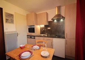 50m from resort center, 4th floor, balcony, tv, ski locker, 15m², Les Saisies