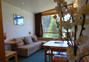 50m from resort center, 16th floor, view ski slopes, balcony, fireplace or stove, tv, 29m², Les Arcs