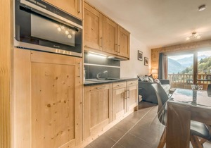 50m from ski slopes, 9th floor, balcony, parking, tv, ski locker, 52m², Champagny-en-Vanoise