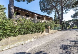 55 m² Apartment ∙ 1 bedroom ∙ 4 guests