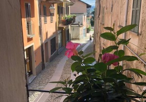 55 m² Apartment ∙ 1 bedroom ∙ 3 guests