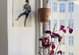 59 m² Apartment ∙ 1 bedroom ∙ 2 guests