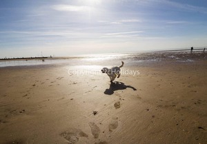 6 berth caravan for hire in Hunstanton by the beach in Norfolk ref 13002L