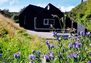 6 person holiday home in Blokhus