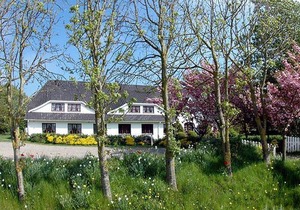 60 m² Apartment ∙ 2 bedrooms ∙ 3 guests