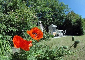 60 m² Apartment ∙ 2 bedrooms ∙ 3 guests