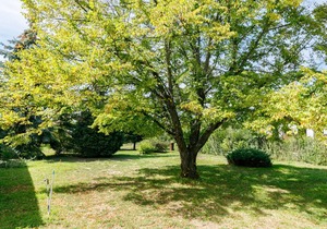 60 m² Apartment ∙ 2 bedrooms ∙ 5 guests