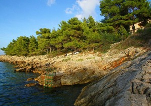 60 m² Apartment ∙ 2 bedrooms ∙ 5 guests
