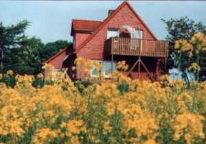 60 m² Apartment ∙ 2 bedrooms ∙ 3 guests