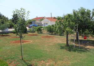 62 m² Apartment ∙ 2 bedrooms ∙ 4 guests