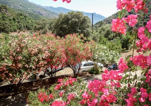 62 m² Apartment ∙ 2 bedrooms ∙ 6 guests