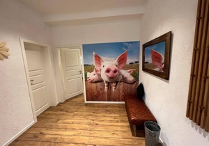65 m² Apartment ∙ 1 bedroom ∙ 2 guests