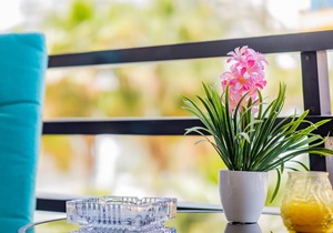 65 m² Apartment ∙ 2 bedrooms ∙ 4 guests