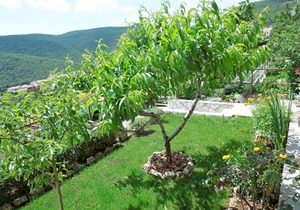 65 m² Apartment ∙ 2 bedrooms ∙ 4 guests