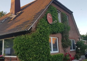 65 m² Apartment ∙ 2 bedrooms ∙ 6 guests