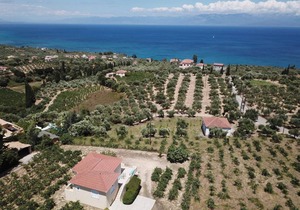 65 m² House ∙ 1 bedroom ∙ 5 guests