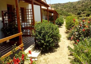 #7 Drakano Studios, for nature lovers