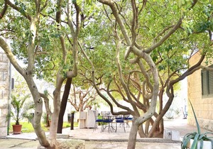 70 m² Apartment ∙ 2 bedrooms ∙ 5 guests