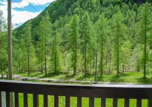 75 m² Apartment ∙ 2 bedrooms ∙ 5 guests