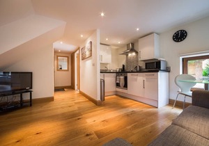 7b Ashbrook Mews Summ