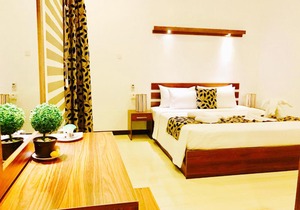8+ Plus Motels