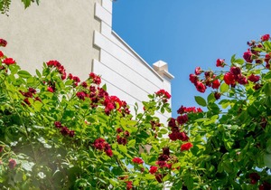 80 m² Apartment ∙ 2 bedrooms ∙ 4 guests