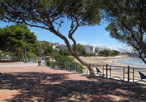 80 m² Apartment ∙ 3 bedrooms ∙ 6 guests
